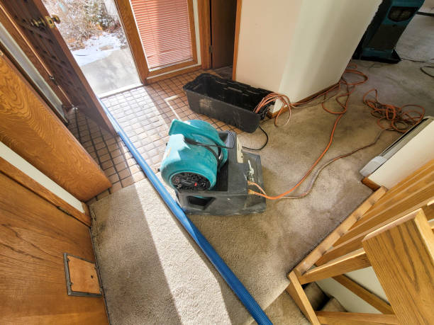 Trusted Water Damage Restoration in Edmonston, MD | Fast, Reliable, and Ready to Assist You